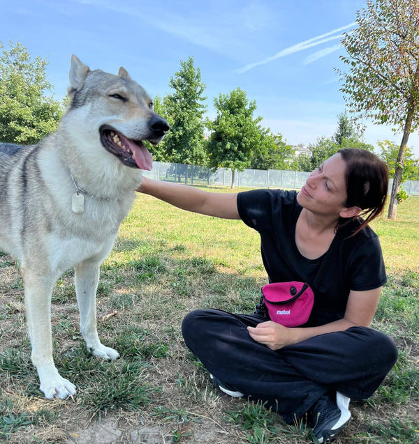 Passeggiata con il cane