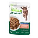 Natural Adult Cat Salmon and Vegetable Strips