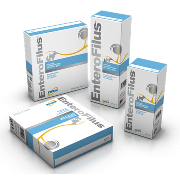 Drn Enterofilus