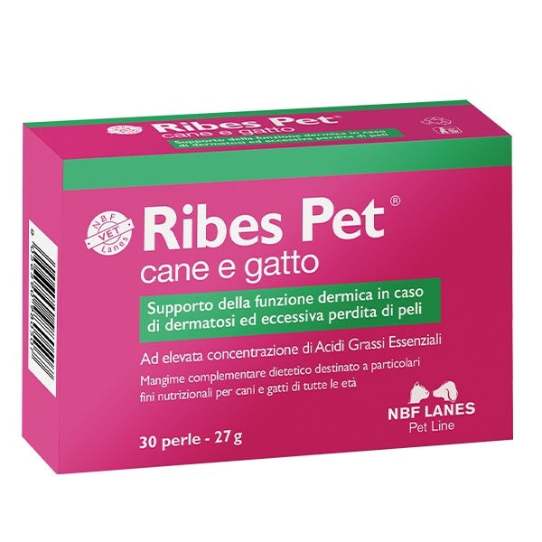 NBF Lanes Ribes Pet Perle