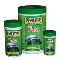 Tartarughe