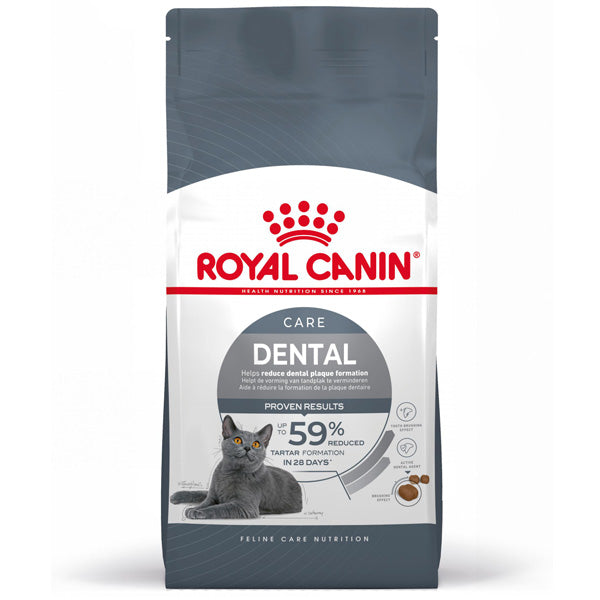 Dental Care