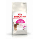 Aroma Exigent