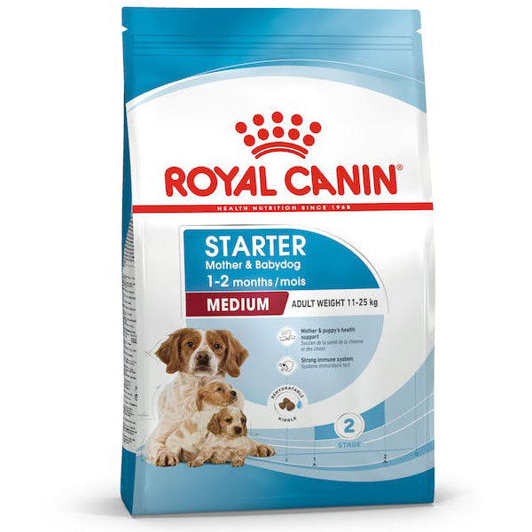 Medium Starter Mother & Baby Dog