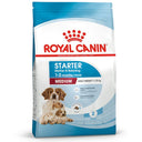 Medium Starter Mother &amp; Baby Dog