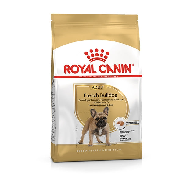 Bulldog Francese Adult