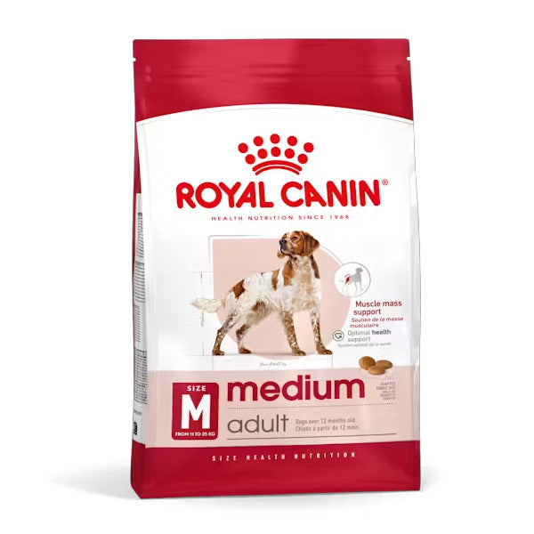 Medium Adult