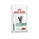 Veterinary Diet Diabetic