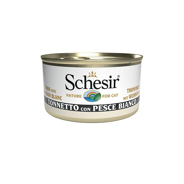 Seafood Specialties: Tuna and White Fish in Jelly