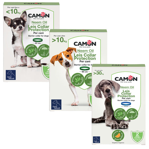Leis Collar Protection Dog X-Large - G914/C