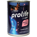 Smart Adult Medium/Large Lamb &amp; Rice Wet
