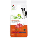 Natural Adult Medium with Beef and Rice