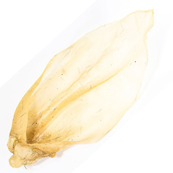 Snack Orecchie di Bovino 100% Essicato