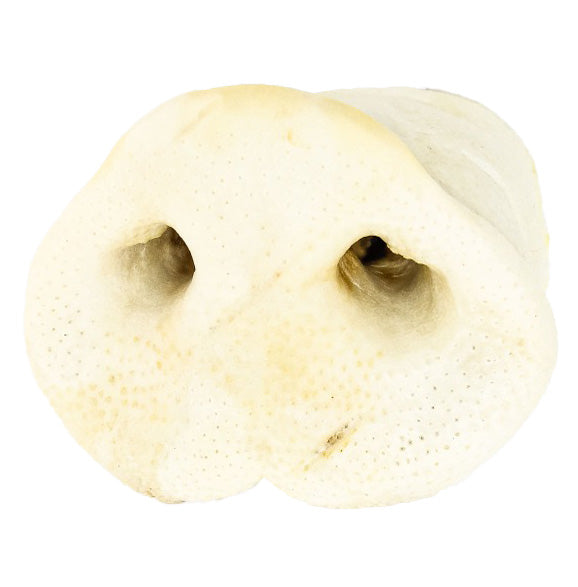 Snack Musetto Grande di Suino 100% Essicato