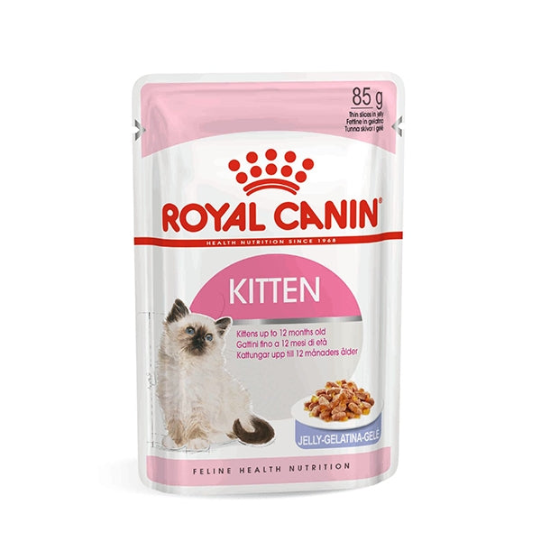 Kitten Instinctive in Jelly