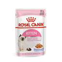 Kitten Instinctive in Jelly