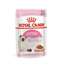 Kitten Instinctive in Salsa