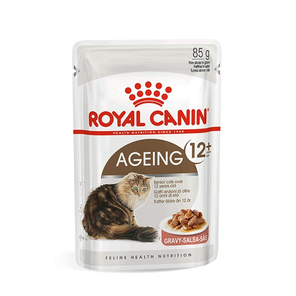 Ageing 12+ in Salsa