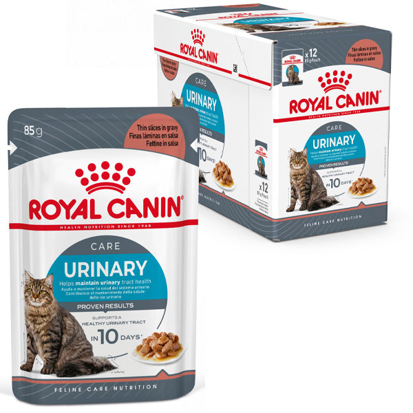 Urinary Care in Salsa