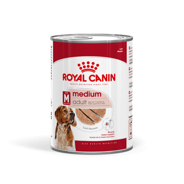 Medium Aging Wet Can