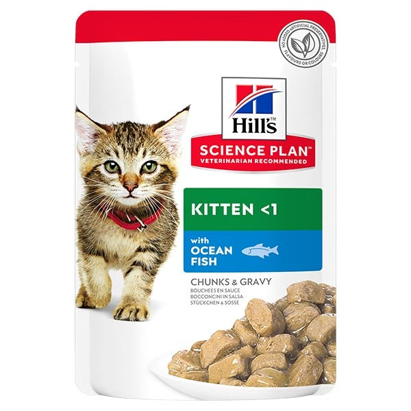 Science Plan Kitten with Ocean Fish