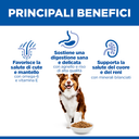 Hill's Science Plan Mature Adult 7+ Medium con Agnello e Riso 12 kg