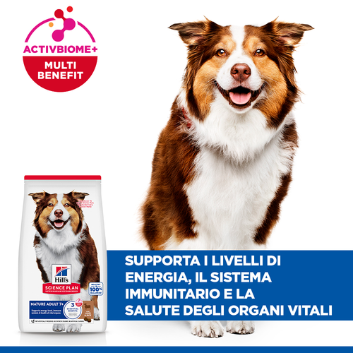Hill's Science Plan Mature Adult 7+ Medium con Agnello e Riso 12 kg