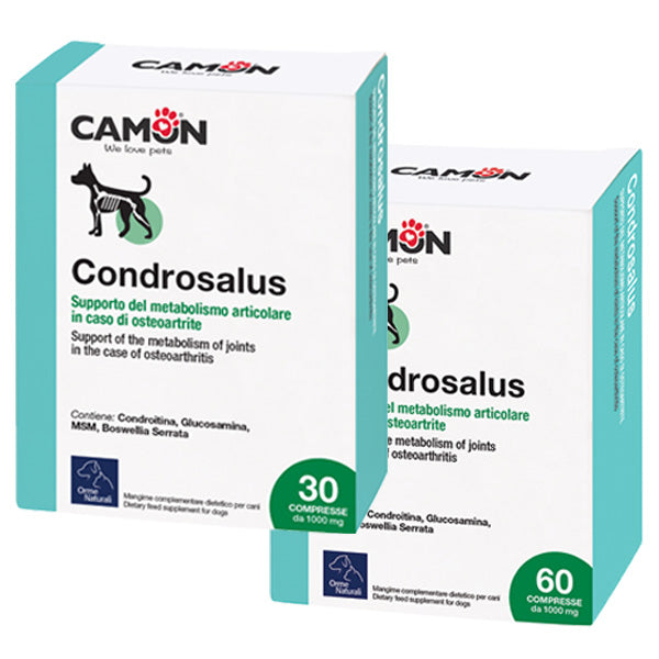 Condrosalus - G879/A