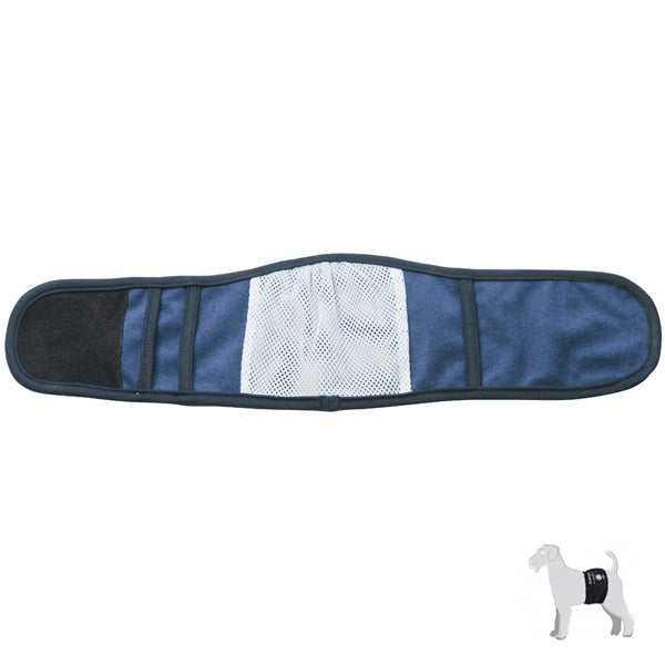Fascia Igienica  Blu per Cani Maschi