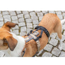 Trixie Stay Prolungamento Antipanico Per Pettorine