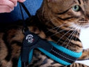 Tre Ponti Easy Fit Laccio Mesh Azzurro
