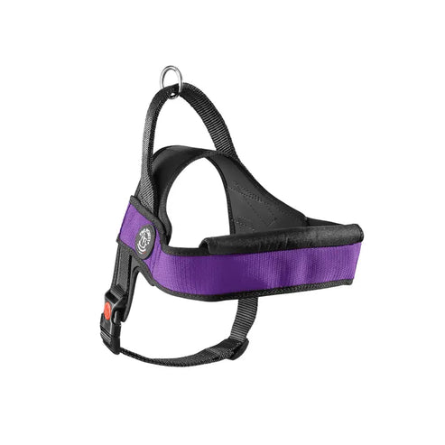 Tre Ponti Primo Plus –Viola