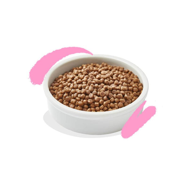 Edgard&Cooper Cat Kitten Anatra e Pollo Freschi 325gr