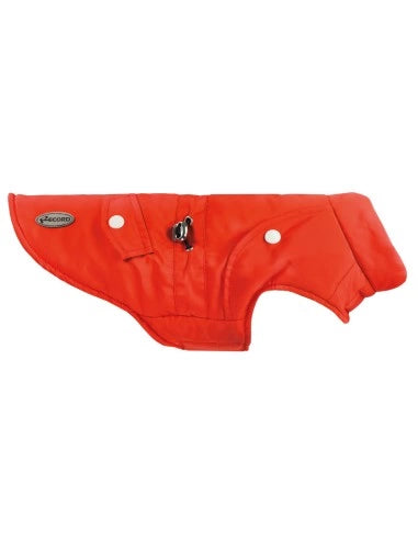 Record Cappottino impermeabile cani Citylife