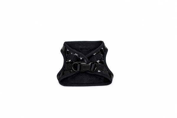 The F-Line Pettorina Nera