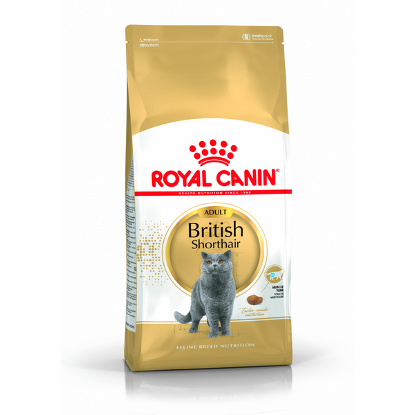 Royal Canin British Shorthair 2kg